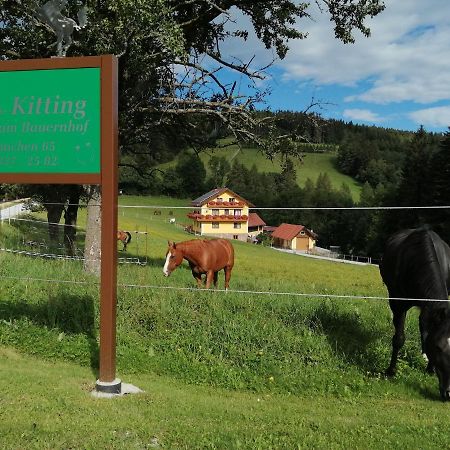 Vorau Urlaub Am Bauernhof Familie Kitting 빌라 외부 사진
