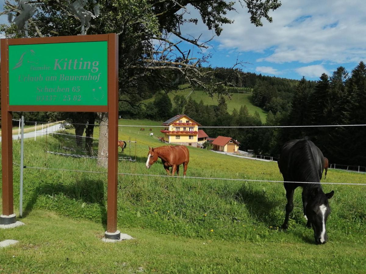 Vorau Urlaub Am Bauernhof Familie Kitting 빌라 외부 사진