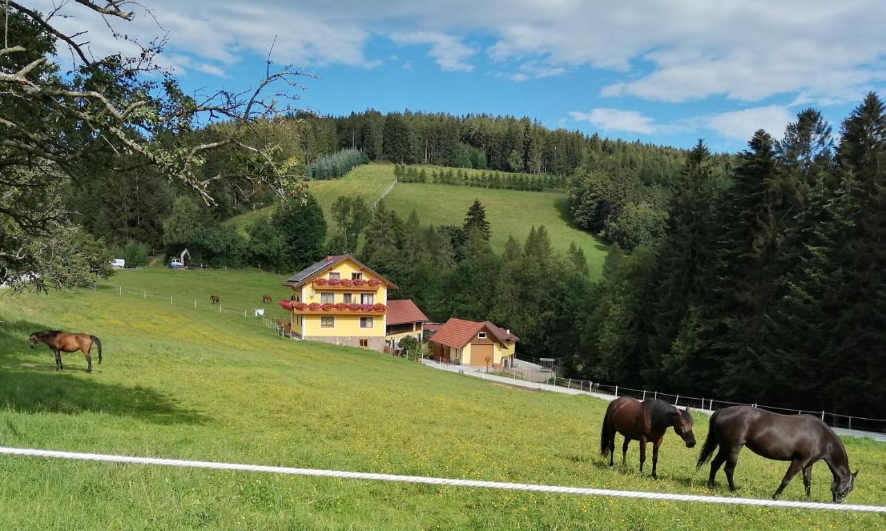 Vorau Urlaub Am Bauernhof Familie Kitting 빌라 외부 사진