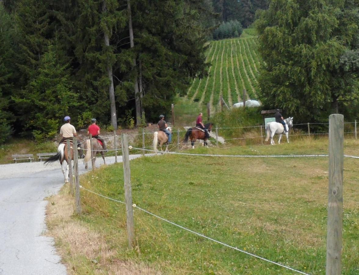 Vorau Urlaub Am Bauernhof Familie Kitting 빌라 외부 사진